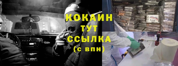 ALPHA PVP Остров