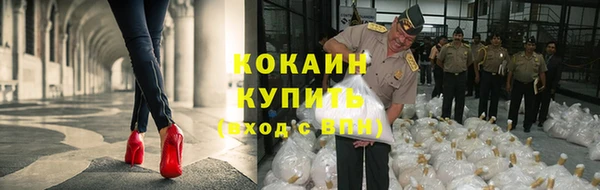 индика Арсеньев