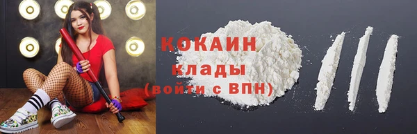 индика Арсеньев