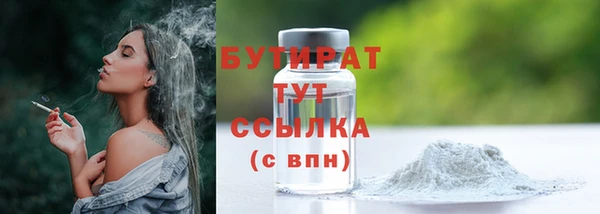 индика Арсеньев