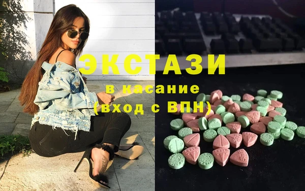 индика Арсеньев