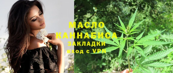 индика Арсеньев