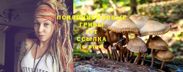 индика Арсеньев