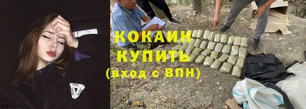 a pvp Аркадак